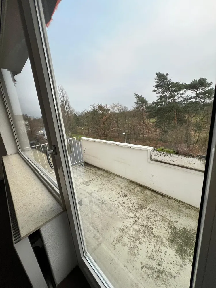 3 Zimmer Wohnung mit 67 m² in Braunschweig – Bild 11
