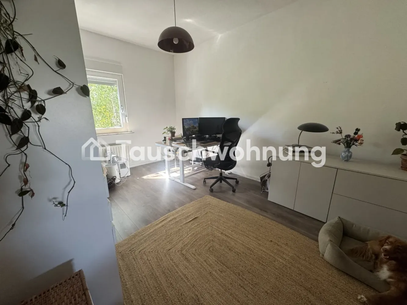 3 Zimmer Wohnung mit 73 m² in Köln – Bild 5