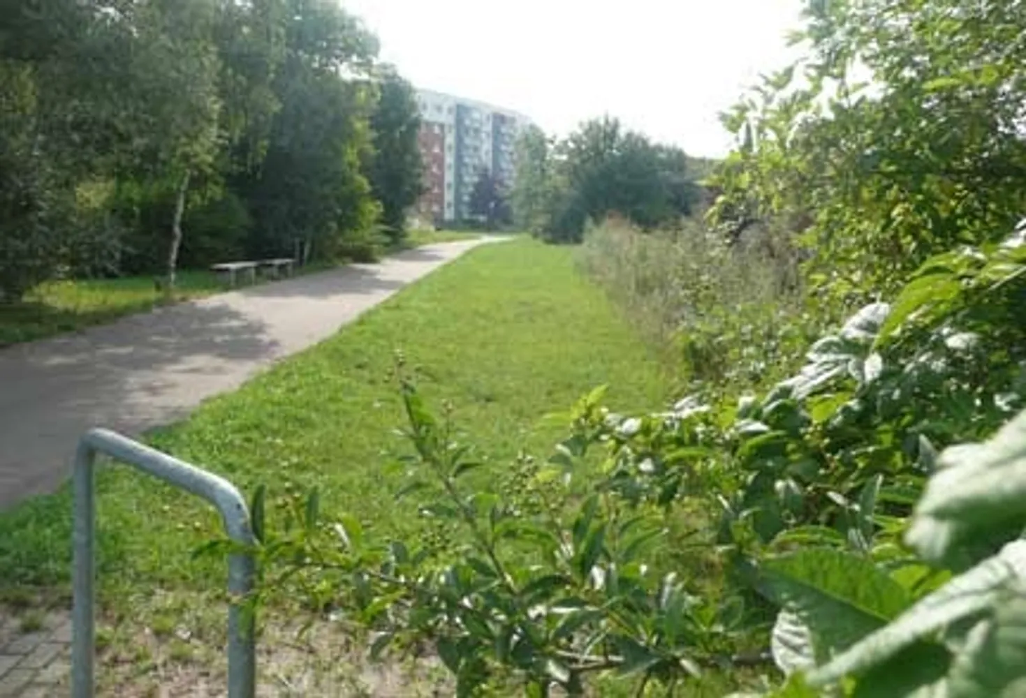 3 Zimmer Wohnung mit 57 m² in Halle (Saale) – Bild 5