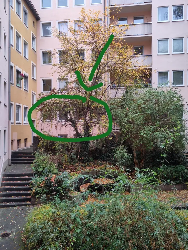 3 Zimmer Wohnung mit 55 m² in Nürnberg – Bild 2
