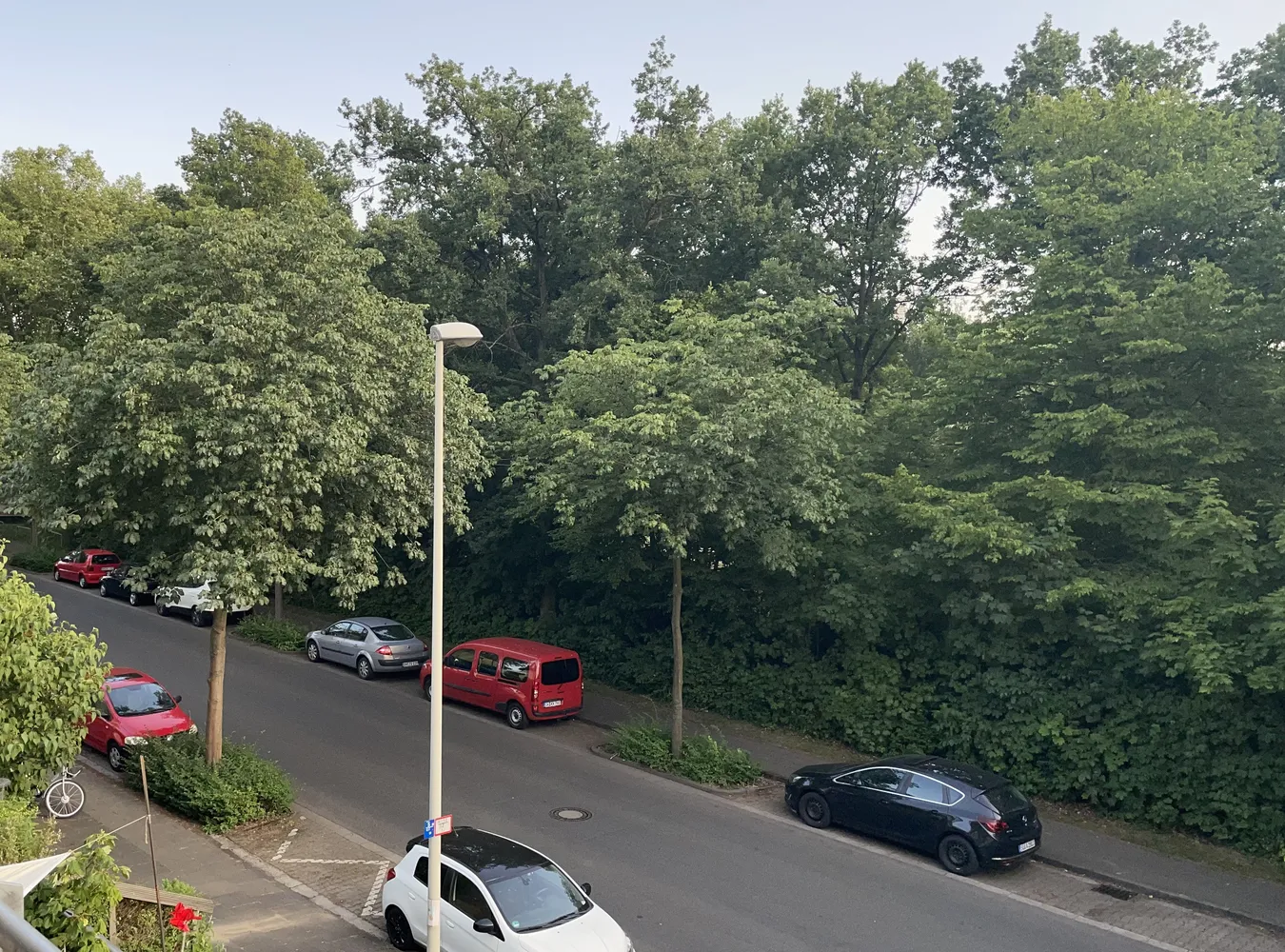 1 room apartment with 32 m² in Bonn – Photo 4