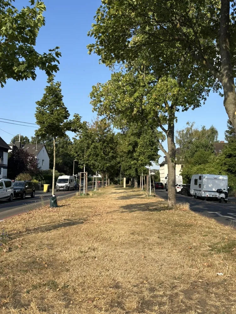 4 Zimmer Wohnung mit 125 m² in Bonn – Bild 8