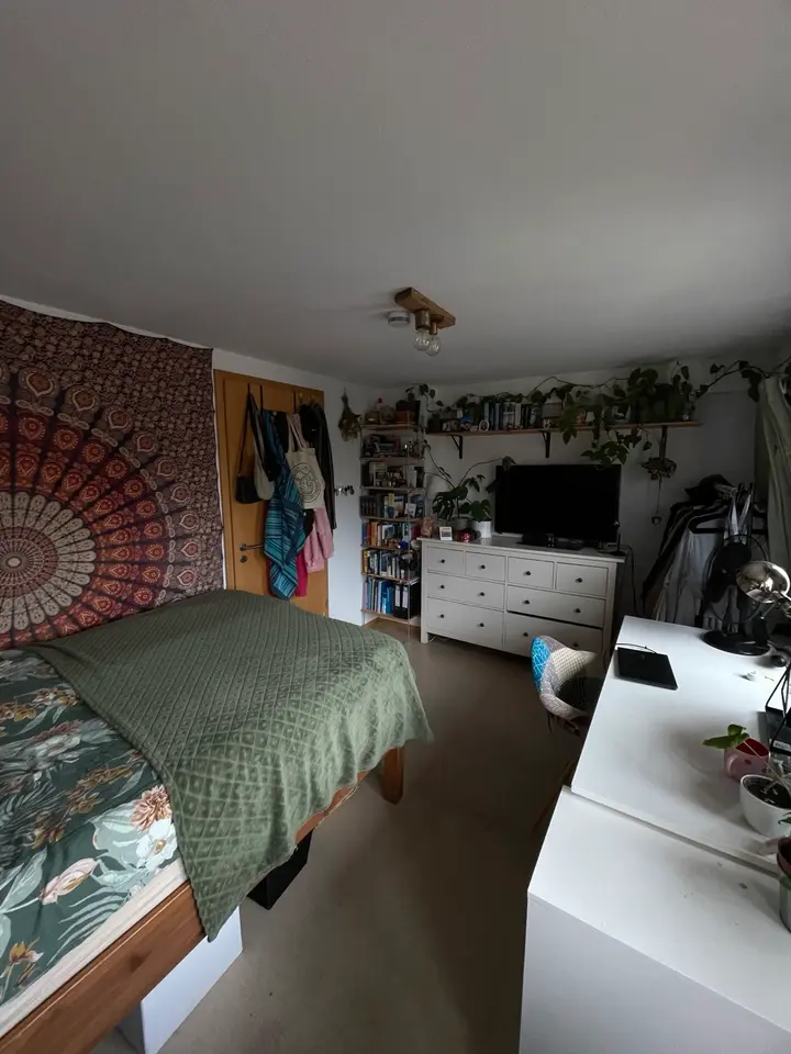 WG-Zimmer mit 100 m² in Gießen – Bild 3