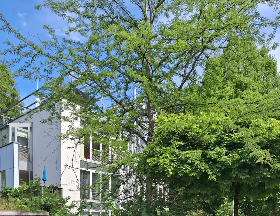 2 Zimmer Wohnung mit 43 m² in Kamenz – Bild 10