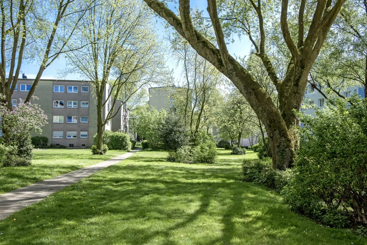 3 Zimmer Wohnung mit 67 m² in Moers – Bild 3
