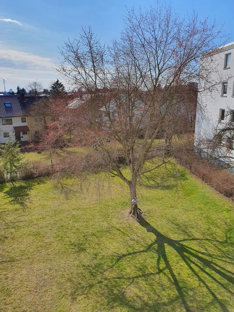2 Zimmer Wohnung mit 63 m² in Mannheim – Bild 1