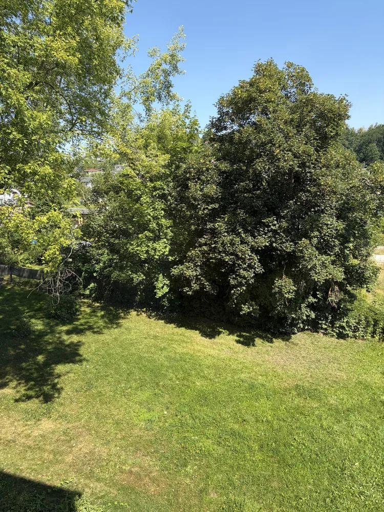2 Zimmer Wohnung mit 49 m² in Zwickau – Bild 5