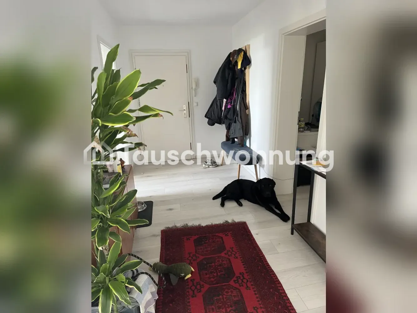 3 room apartment with 86 m² in Cologne – Photo 1