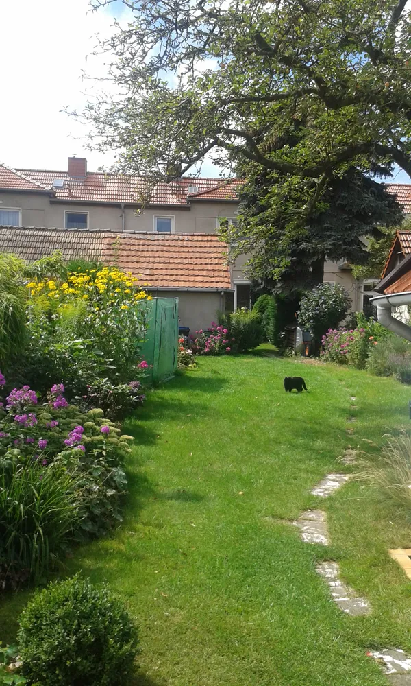 5 Zimmer Haus mit 126 m² in Schwerin – Bild 7