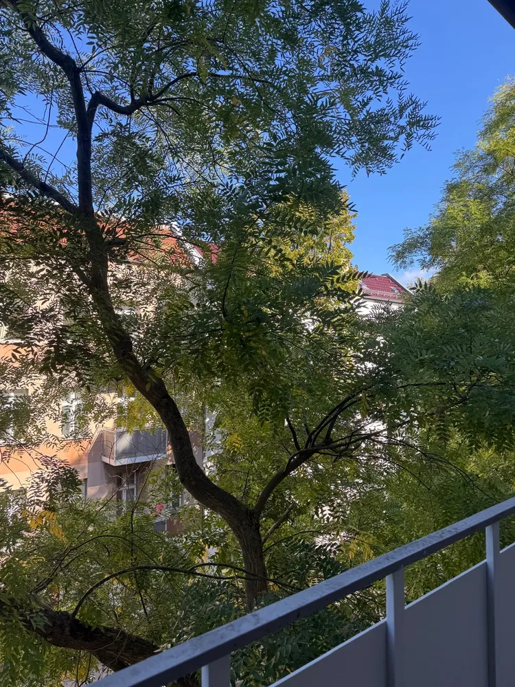 2 room apartment with 65 m² in Berlin – Photo 7