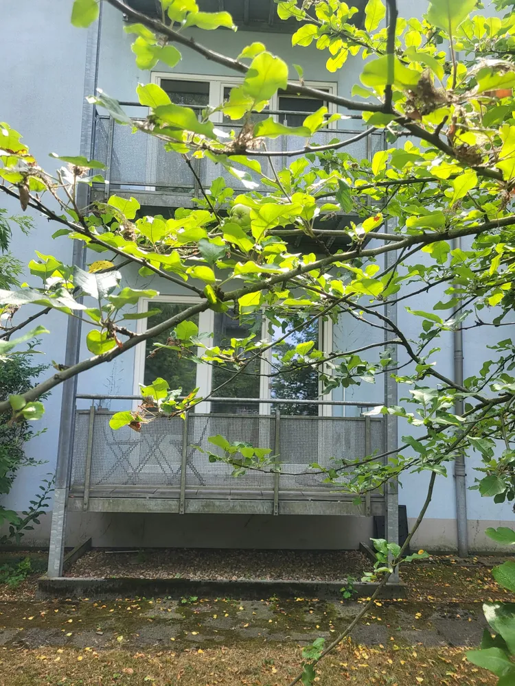 2 Zimmer Wohnung mit 46 m² in Duisburg – Bild 1