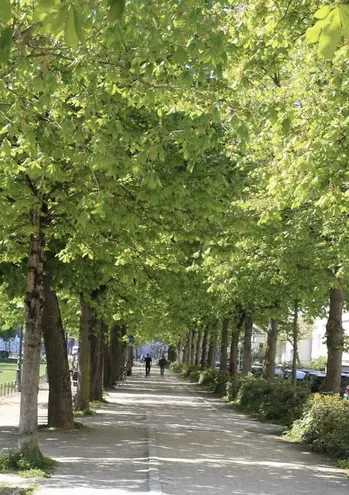 3 Zimmer Wohnung mit 45 m² in Bonn – Bild 8