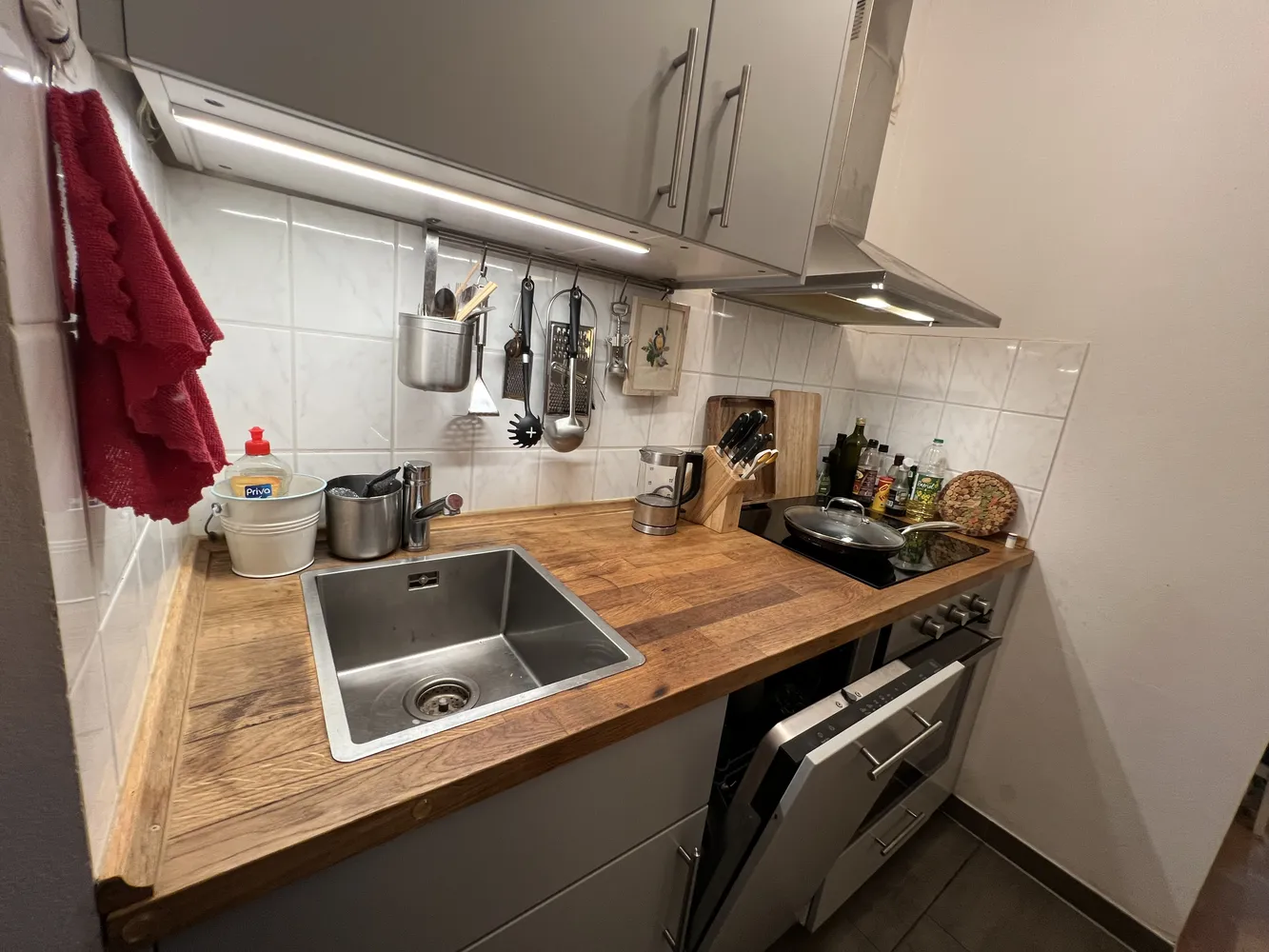 1 room apartment with 38 m² in Dresden – Photo 7