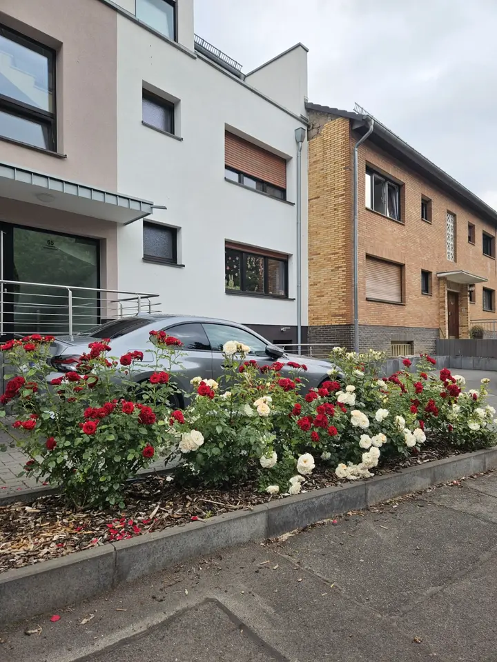 2 Zimmer Wohnung mit 77 m² in Hürth – Bild 2