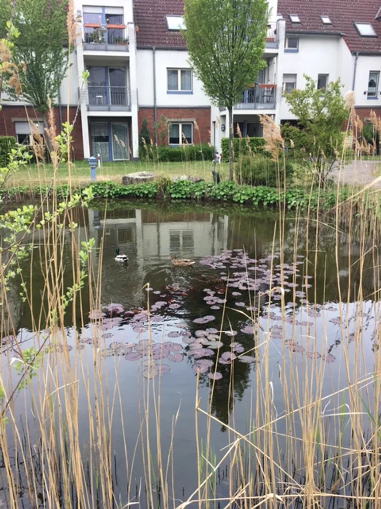 2 Zimmer Wohnung mit 45 m² in Duisburg – Bild 5