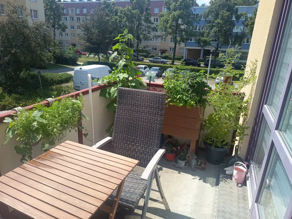 2 room apartment with 48 m² in Cottbus – Photo 7