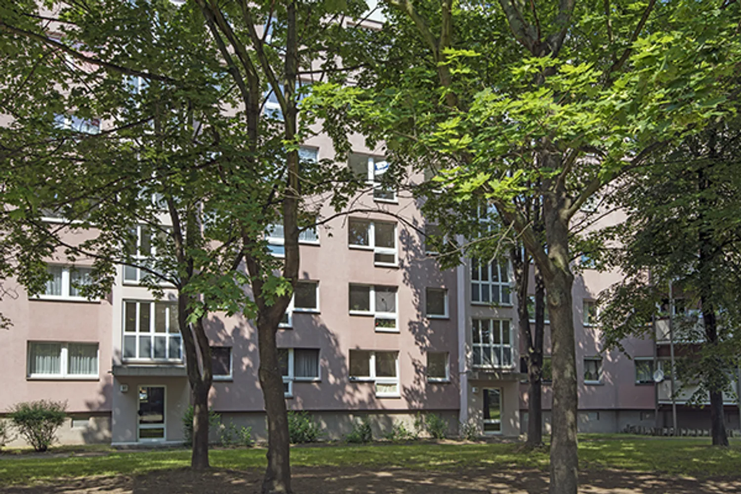 2 Zimmer Wohnung mit 50 m² in Dresden – Bild 1