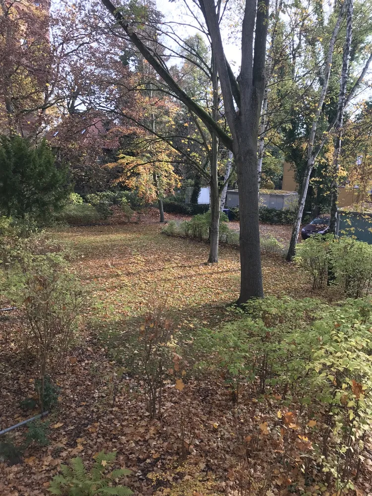 1 Zimmer Wohnung mit 30 m² in Berlin – Bild 6