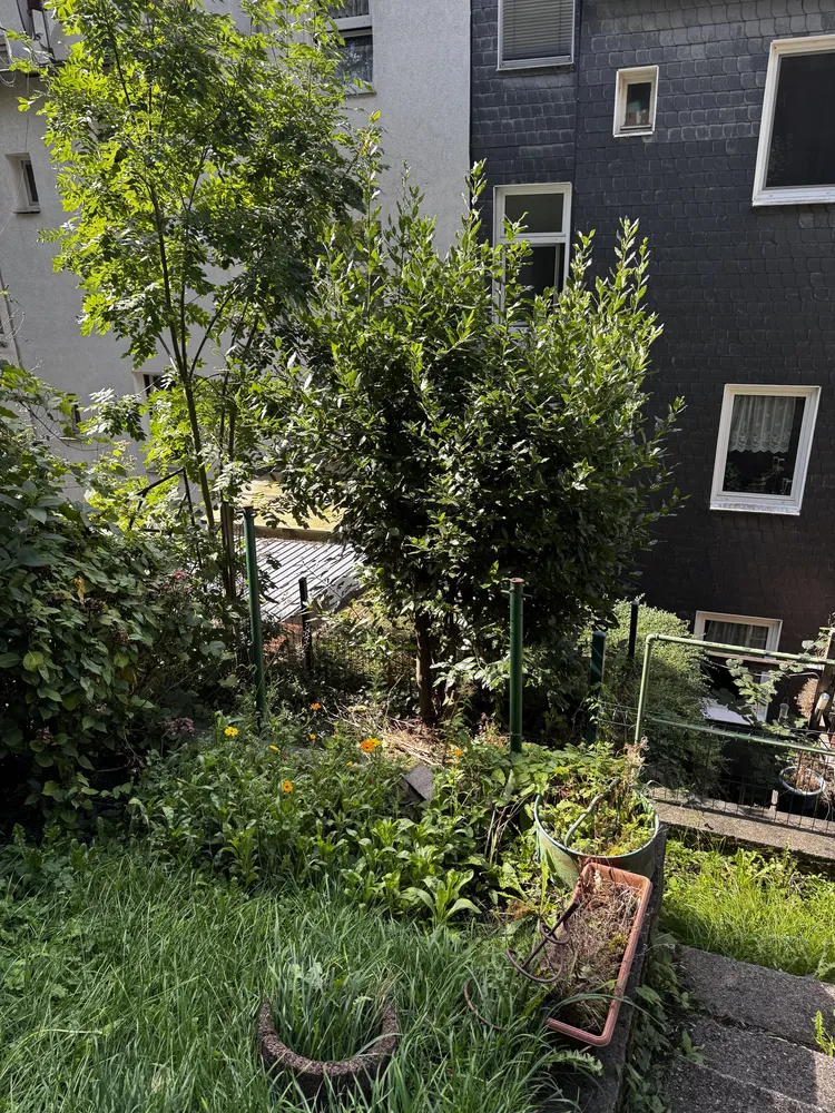 2 Zimmer Wohnung mit 79 m² in Wuppertal – Bild 1