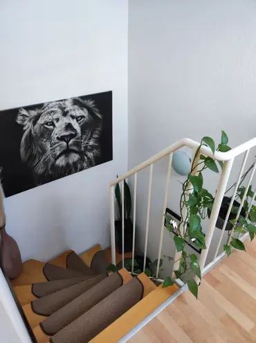 3 room apartment with 67 m² in Cologne – Photo 7
