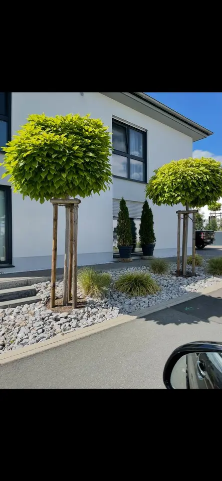 3 Zimmer Wohnung mit 128 m² in Limburg an der Lahn – Bild 8