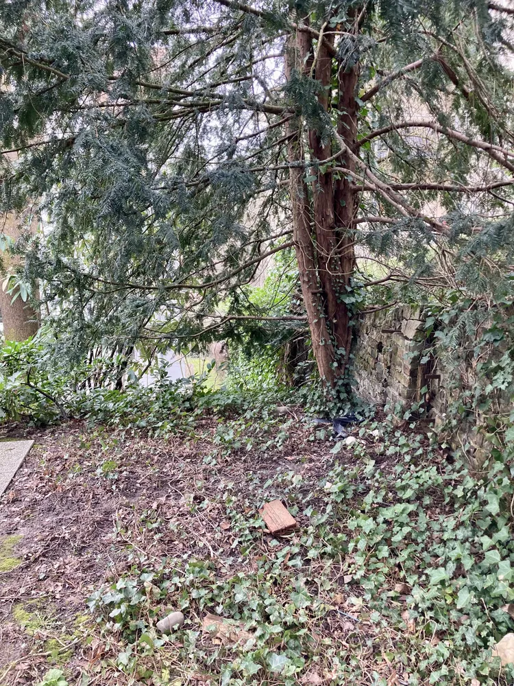 1 Zimmer Wohnung mit 30 m² in Wiesbaden – Bild 7