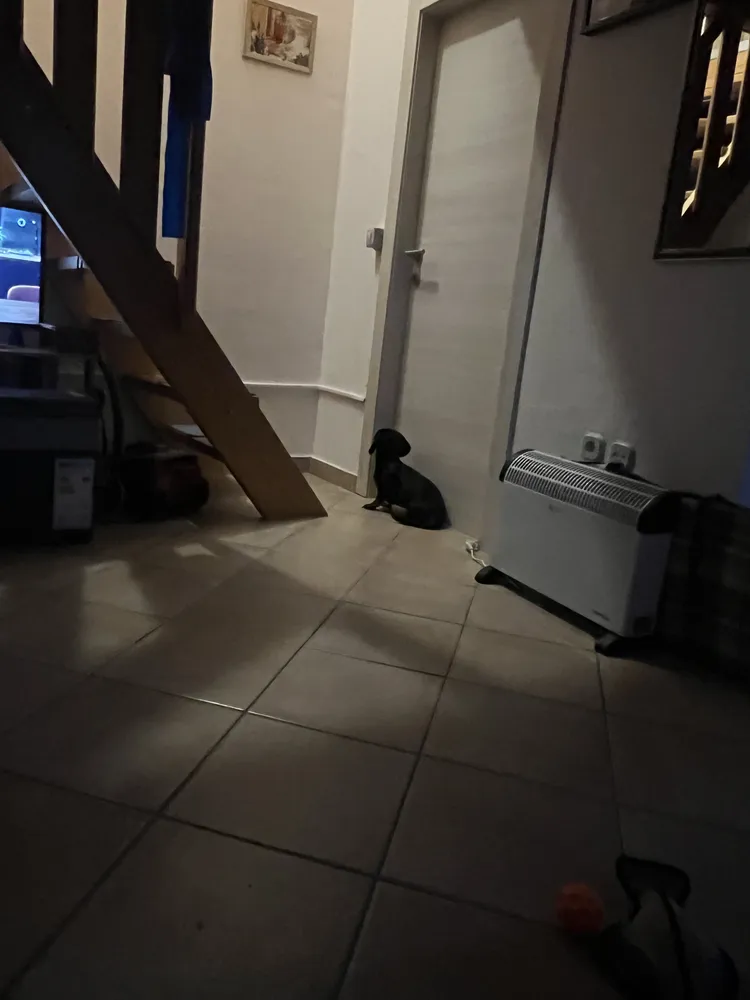3 Zimmer Wohnung mit 70 m² in Xanten – Bild 3