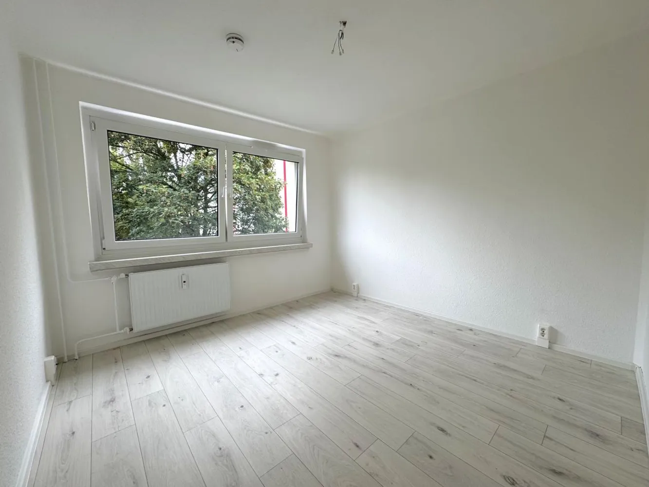 3 Zimmer Wohnung mit 56 m² in Chemnitz – Bild 3