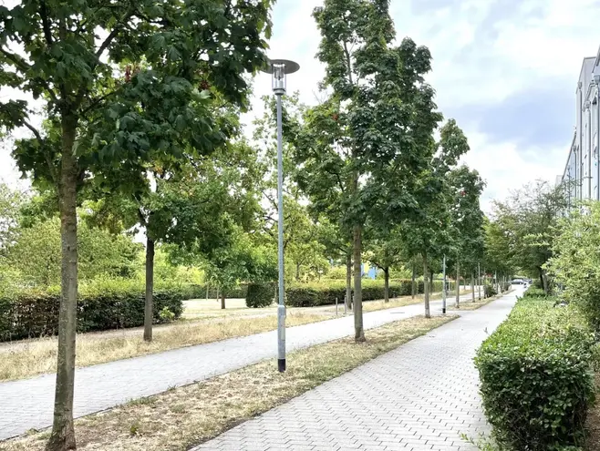 2 Zimmer Wohnung mit 60 m² in Mainz – Bild 4