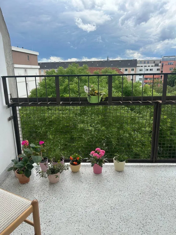 3 Zimmer Haus mit 66 m² in Kamenz – Bild 8