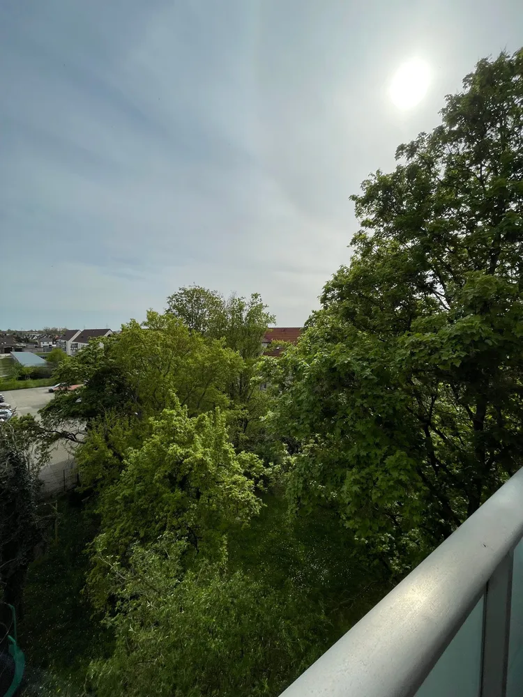 3 room apartment with 75 m² in Magdeburg – Photo 3