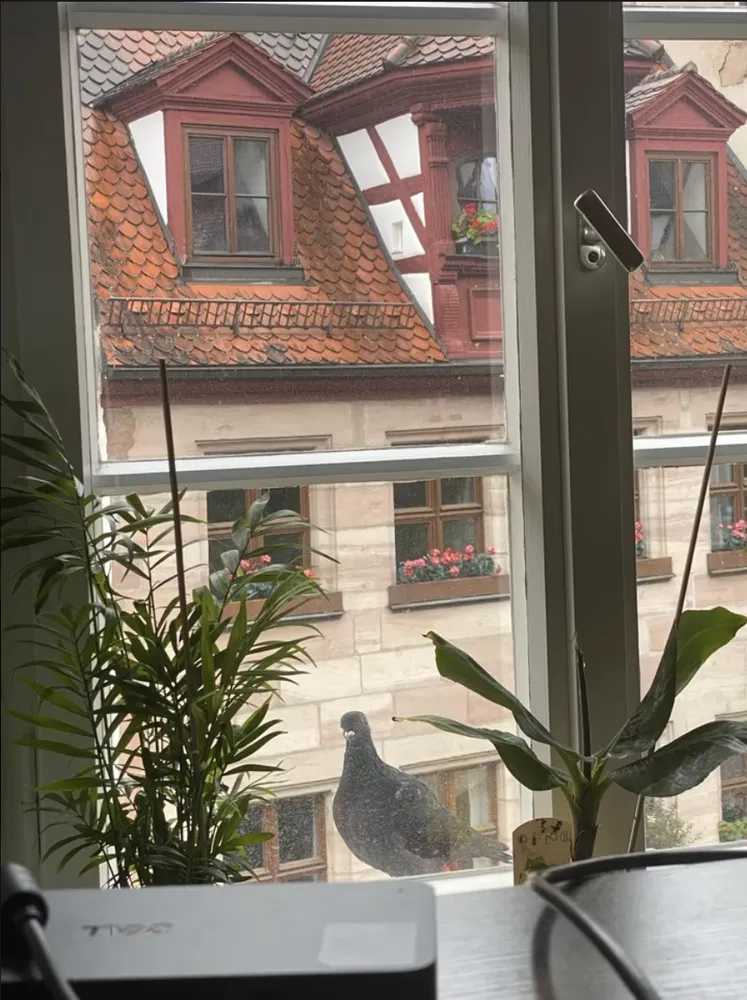 3 Zimmer Wohnung mit 110 m² in Nürnberg – Bild 7