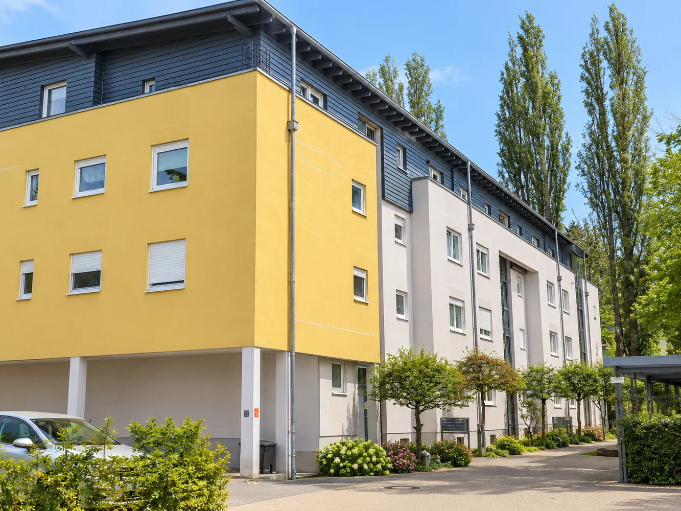 2 Zimmer Wohnung mit 65 m² in Dresden – Bild 2