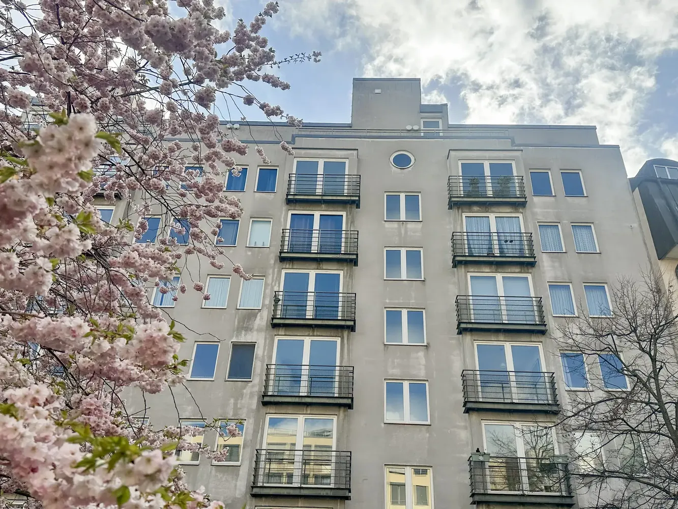 2 Zimmer Wohnung mit 62 m² in Leipzig – Bild 4