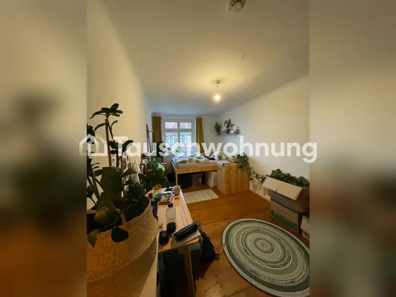 2 room apartment with 50 m² in Dresden – Photo 4