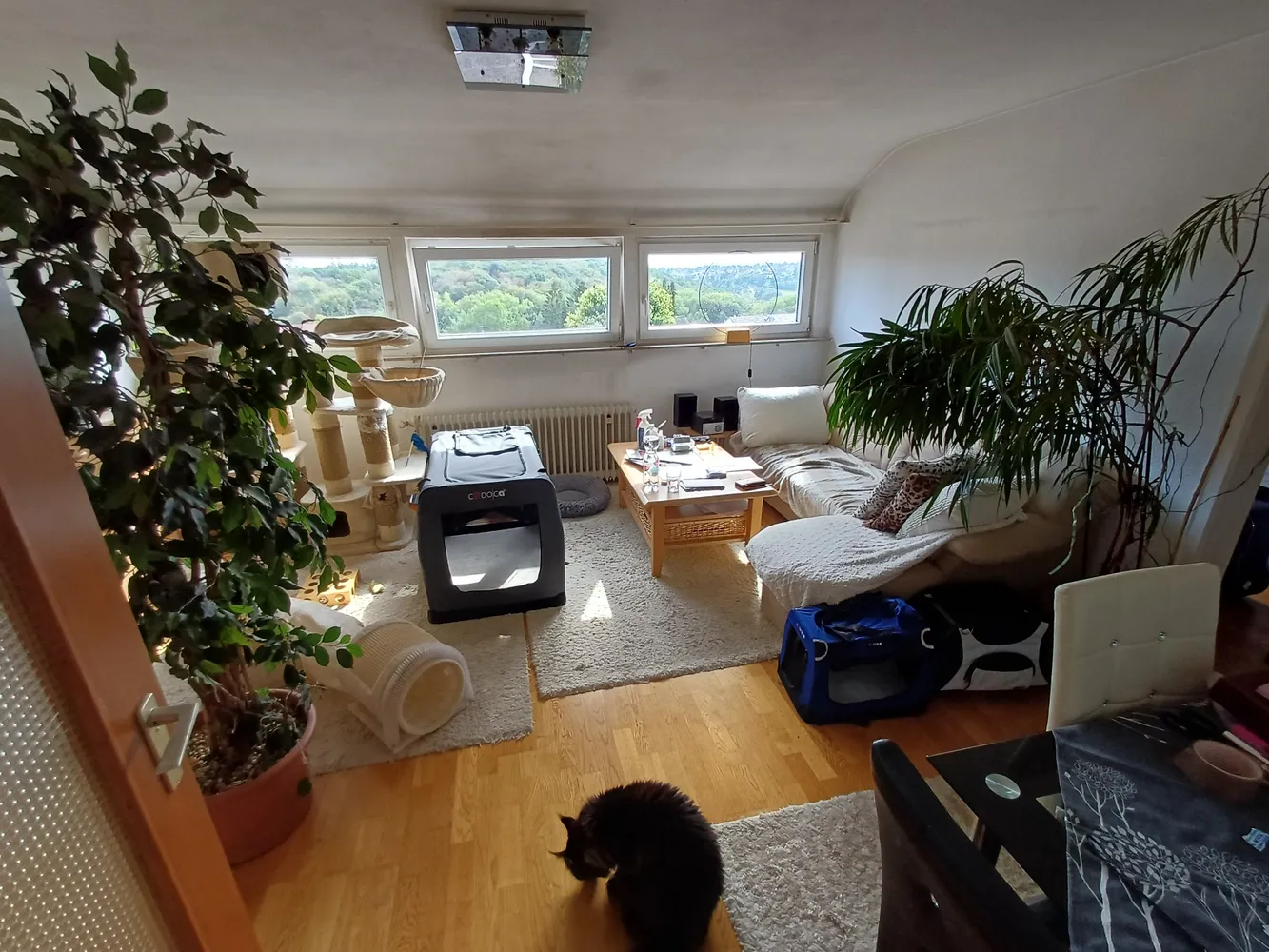2 Zimmer Wohnung mit 50 m² in Stuttgart – Bild 2