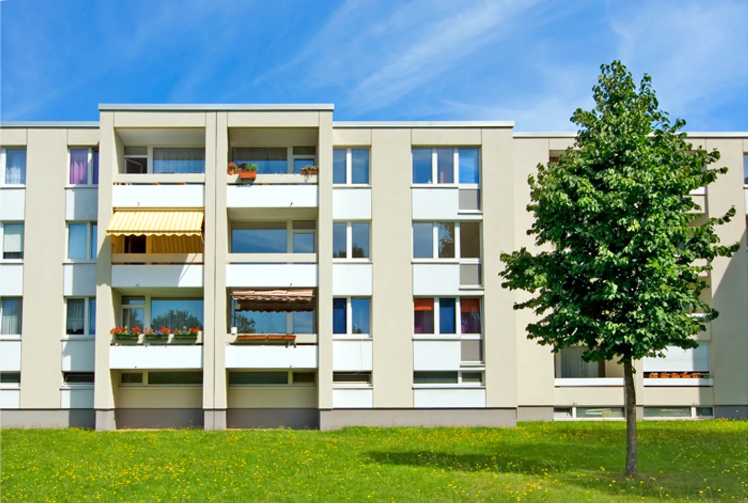 4 Zimmer Wohnung mit 79 m² in Erkrath – Bild 2