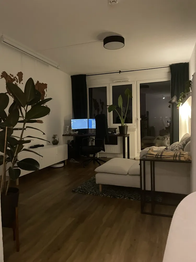 2 Zimmer Wohnung mit 50 m² in Dresden – Bild 5