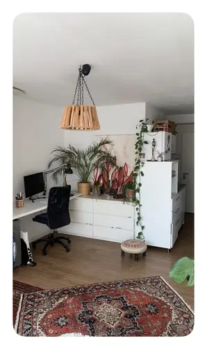1 Zimmer Wohnung mit 27 m² in Münster – Bild 1