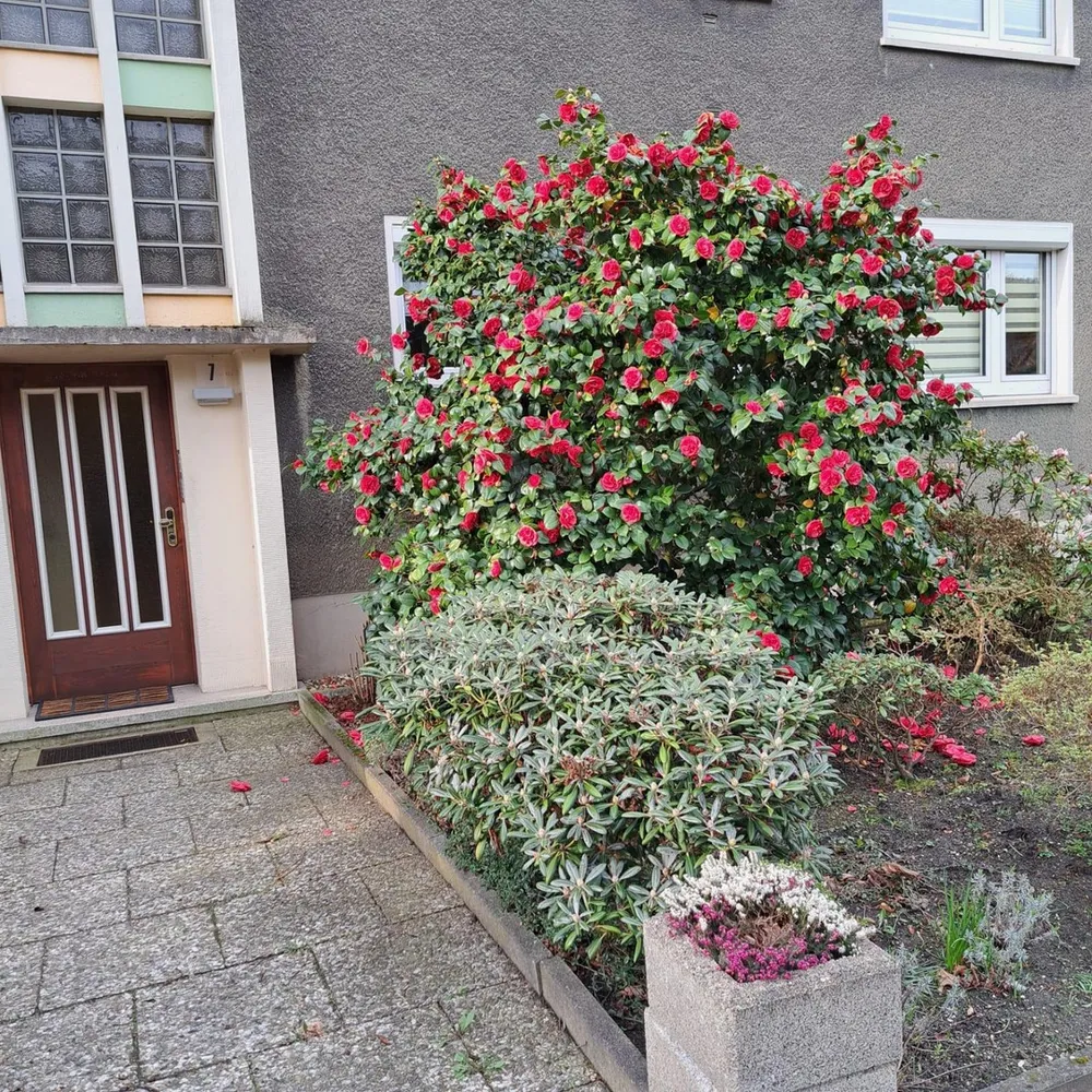 3 Zimmer Wohnung mit 53 m² in Bottrop – Bild 9