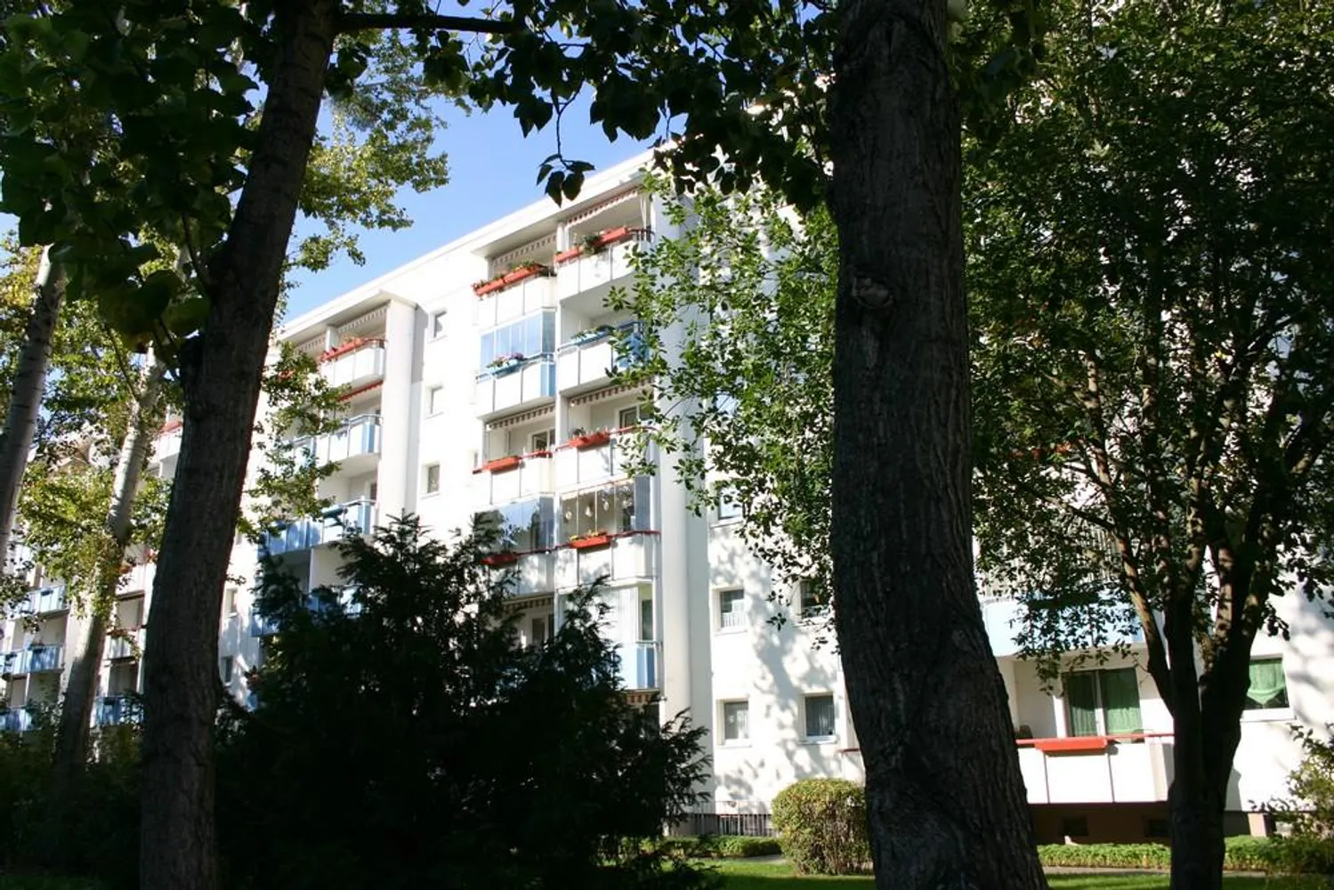 3 Zimmer Wohnung mit 57 m² in Magdeburg – Bild 8