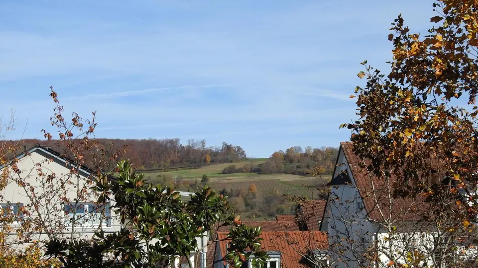 Studio mit 42 m² in Weil am Rhein – Bild 5