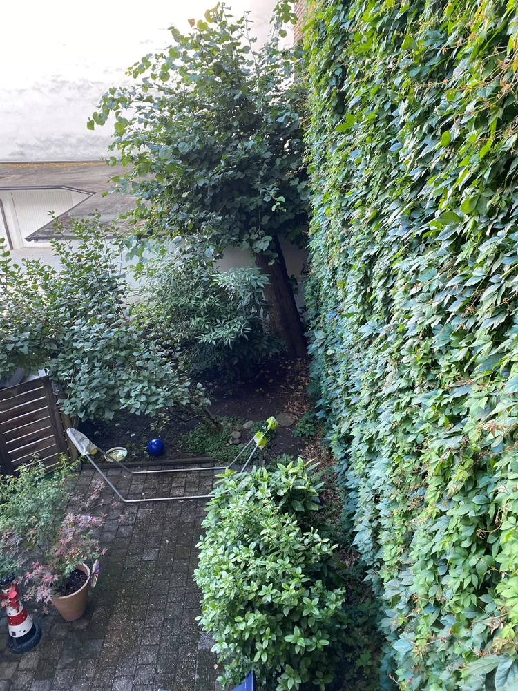 2 Zimmer Wohnung mit 62 m² in Hagen – Bild 2