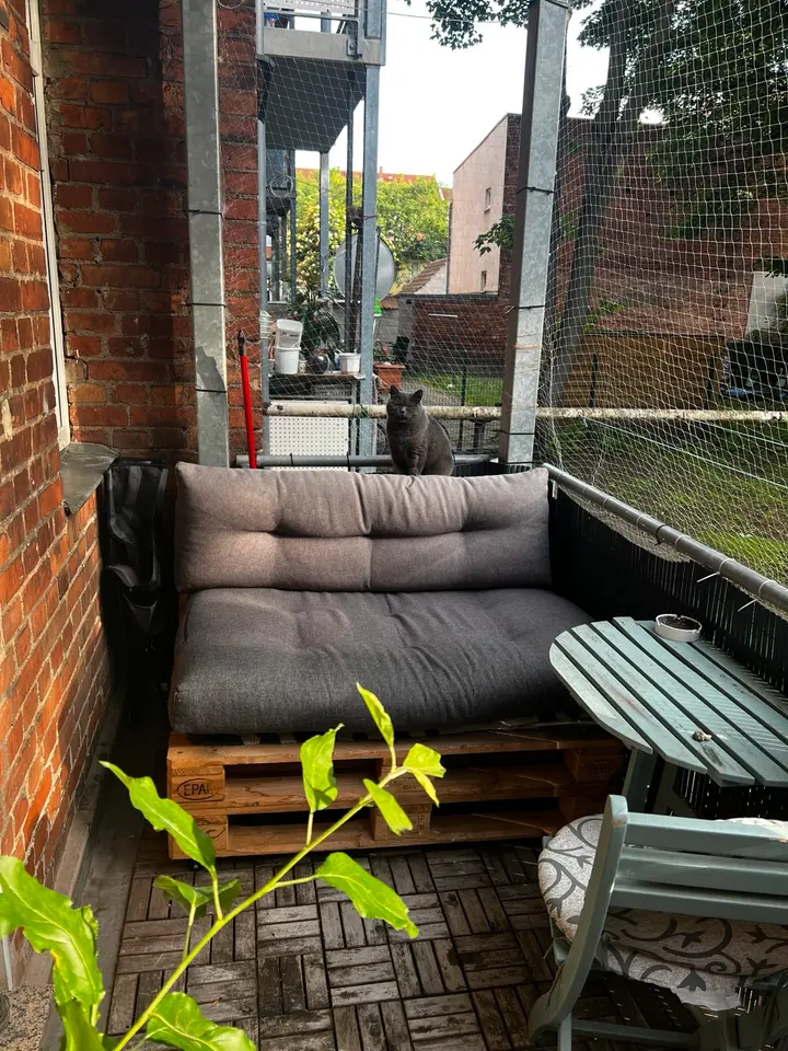 WG-Zimmer mit 20 m² in Erfurt – Bild 7