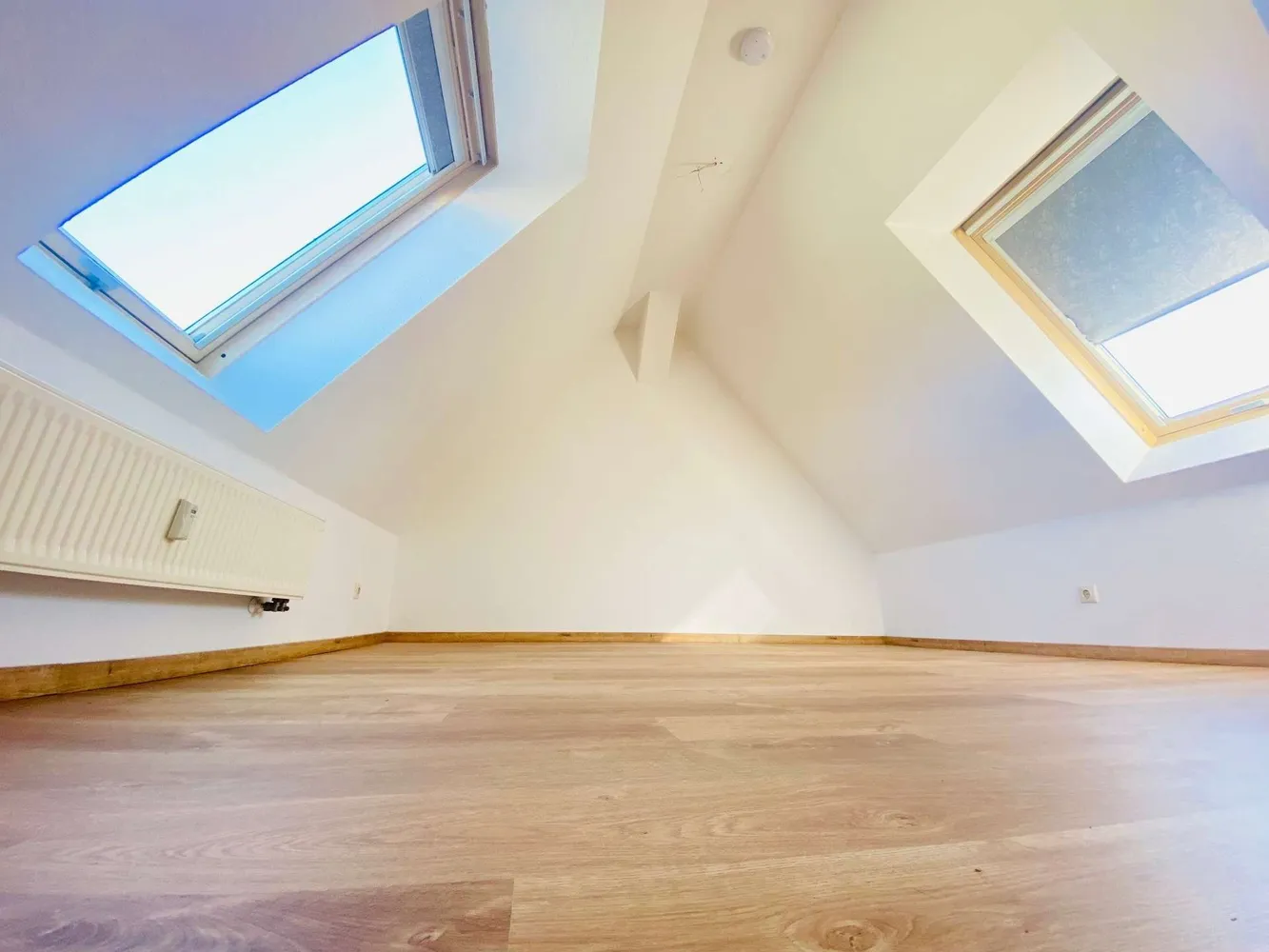 3 Zimmer Wohnung mit 65 m² in Dresden – Bild 5