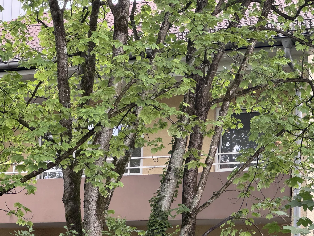 4 Zimmer Wohnung mit 84 m² in München – Bild 1
