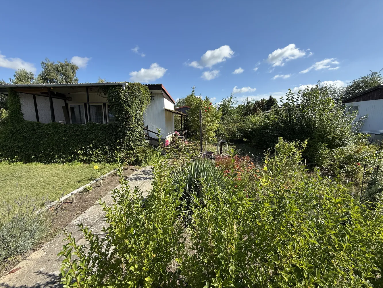 2 Zimmer Haus mit 38 m² in Werder (Havel) – Bild 3