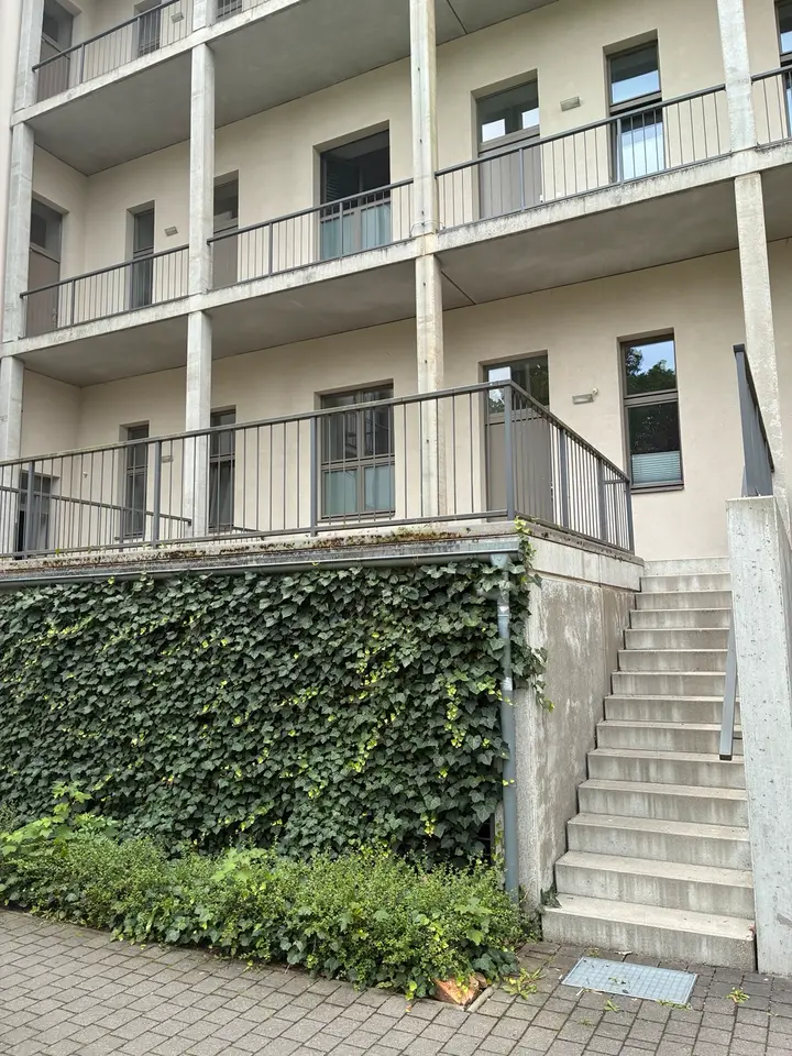 2 Zimmer Wohnung mit 54 m² in Dresden – Bild 2