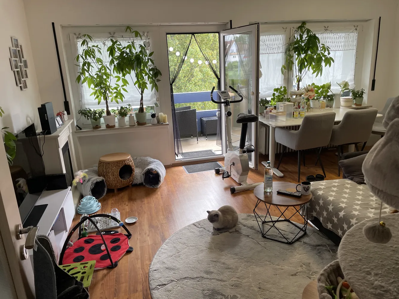 3 Zimmer Wohnung mit 79 m² in Friedrichshafen – Bild 3