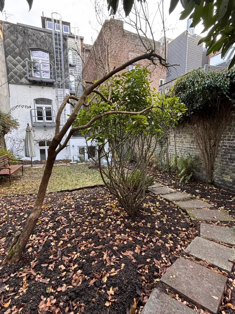 3 Zimmer Wohnung mit 45 m² in Aachen – Bild 11